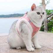 Rabbit Fur Cat Dog Harness and Leash Set Winter Pet Outdoor Walking Supplies Reflective Adjustable Kitten Puppy Gatos Harnesses — 3