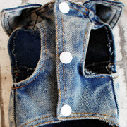 Retro Denim Overalls for Dogs, Four Legs Dog Jumpsuit for Chihuahua, Cowboy Puppy, Kawaii Clothes for Yorkie, Spring Pet Costume — 4