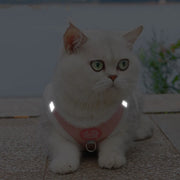 Rabbit Fur Cat Dog Harness and Leash Set Winter Pet Outdoor Walking Supplies Reflective Adjustable Kitten Puppy Gatos Harnesses — 5