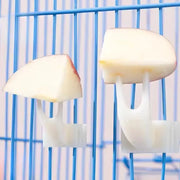 5pcs Durable Plastic Bird Cage Fruit Forks Parrot Feeding Accessories Snack Holder Bird Utensils Multi-functional Pet Supplies — 1
